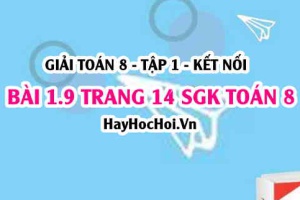 Bài 1.9 SGK Toán 8 tập 1 Kết nối tri thức